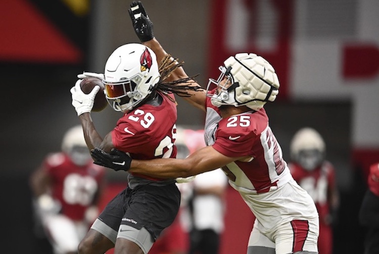 Arizona Cardinals Training Camp What You Need To Know The Pleasant View
